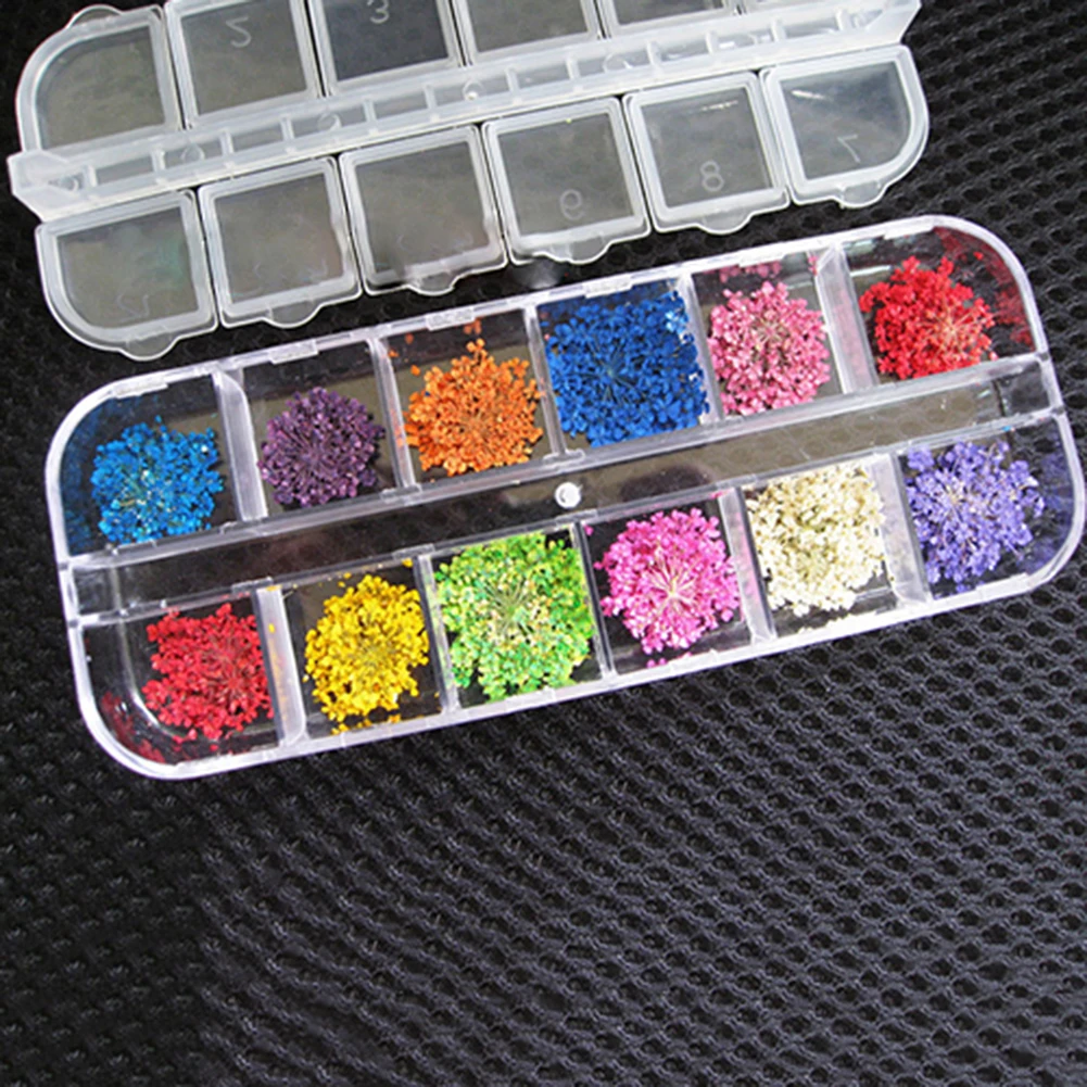 12 Цветов 3D Украшения Настоящее Сухой Сухих для УФ-Гель Акриловый Маникюр Советы |