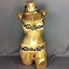 gold Сексуальный костюм для танца живота, ручной работы, танцевальный костюм, набор для выступлений, 6 цветов, 3 штуки(бюстгальтер, пояс и ожерелье - Color: gold