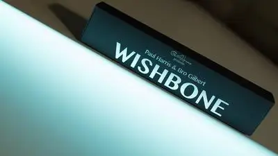 Wishbone от Пола Харриса и Бро Гилберта магия|magic sound|magic straightenermagic nail |
