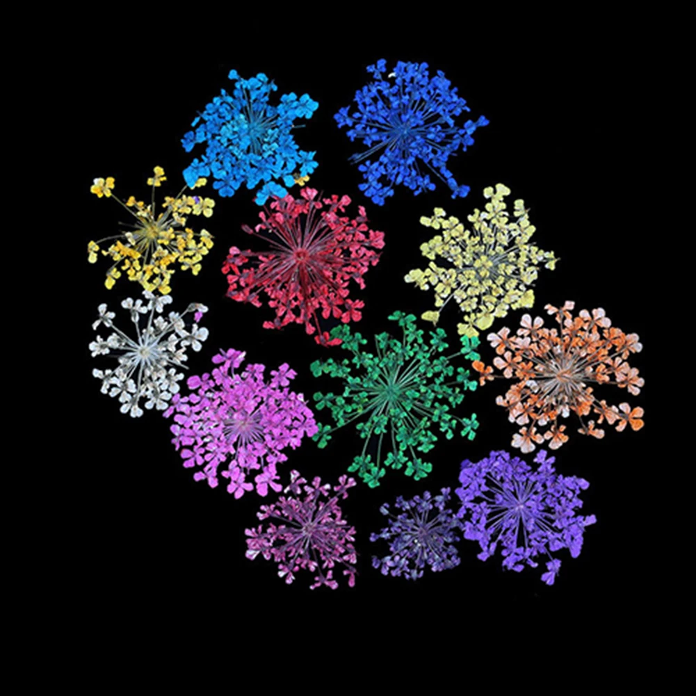 12 Цветов 3D Украшения Настоящее Сухой Сухих для УФ-Гель Акриловый Маникюр Советы |