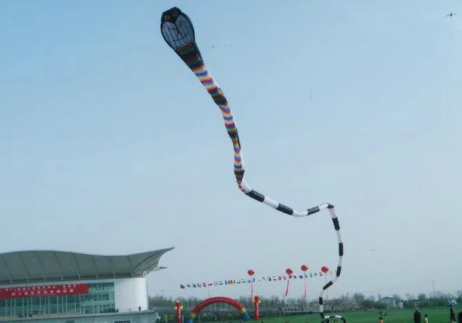 3d змея Пипа большой воздушный змей Летающая акула 50 м двухниточная мягкая