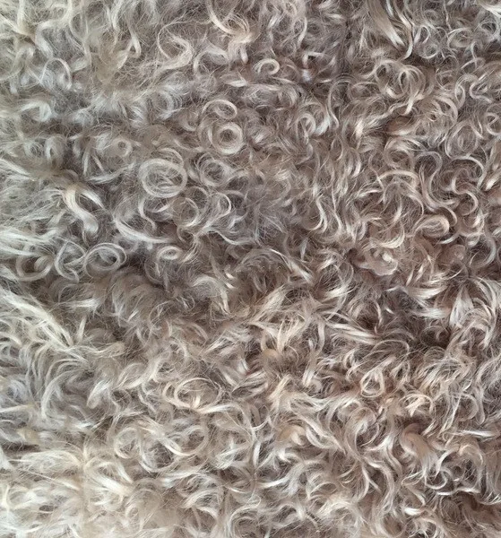 Продажа с завода короткая шерстяная тарелка Калган из ягненка хорошего