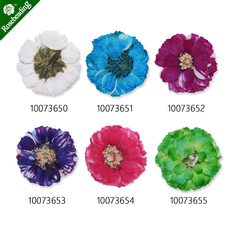12 шт. 15 мм мини цветов сушеный прессованный цветок ромашка 100736|flower pillow|flower lifeflower