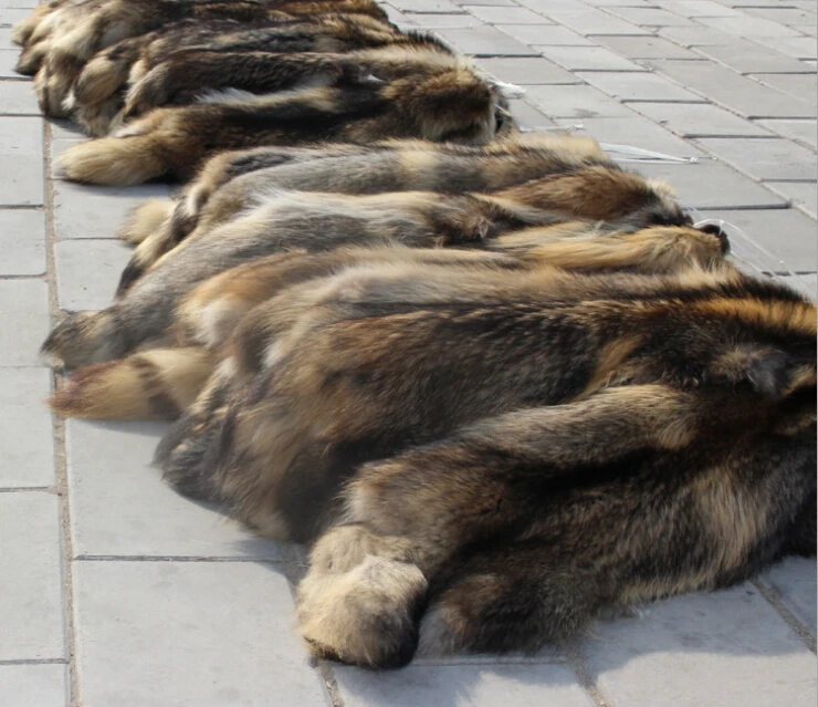 

Factory Price Real Natural Raccoon Fur Skins