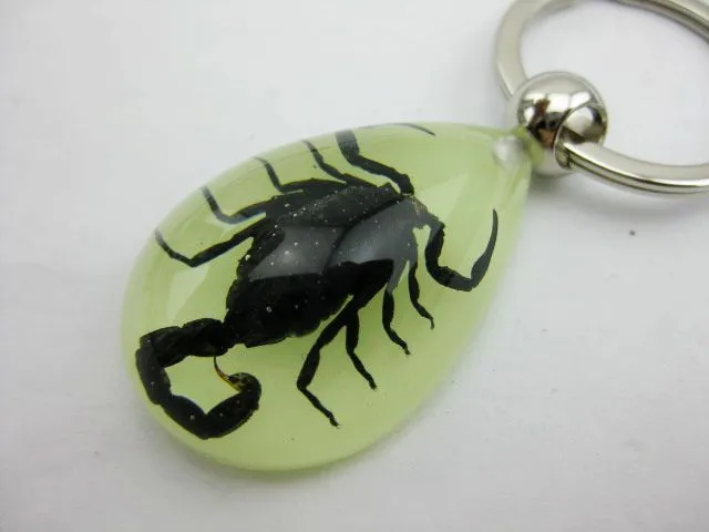 Высокое качество 10 шт. светятся в темноте lucite Lucky Charm брелок из натуральной кожи Черный скорпион таксидермия GL01