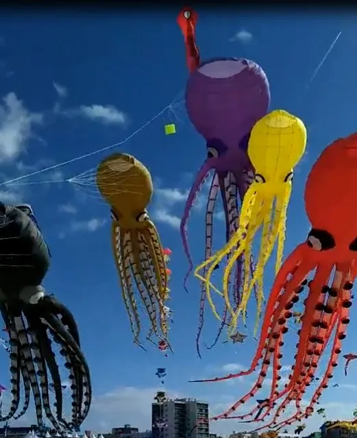 Мягкие летающие акулы Длинные большие windsocks aquilone lungo игрушки тролли|octopus kite|kites for