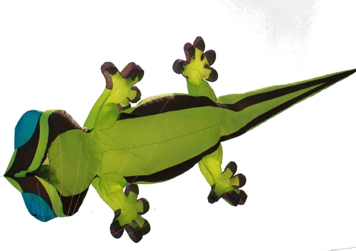 Летающий 3D-воздушный змей fly dragon 10 м программное обеспечение для трюков