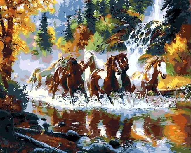 Сделай Сам, обрамленная краска по номерам, масляная краска, фото, настенное искусство, цифровые картины, краска, декор для украшения дома - Цвет: ZQ-6011