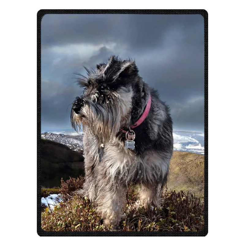 Теплое Флисовое одеяло Schnauzer супер мягкая фланелевая Манта для