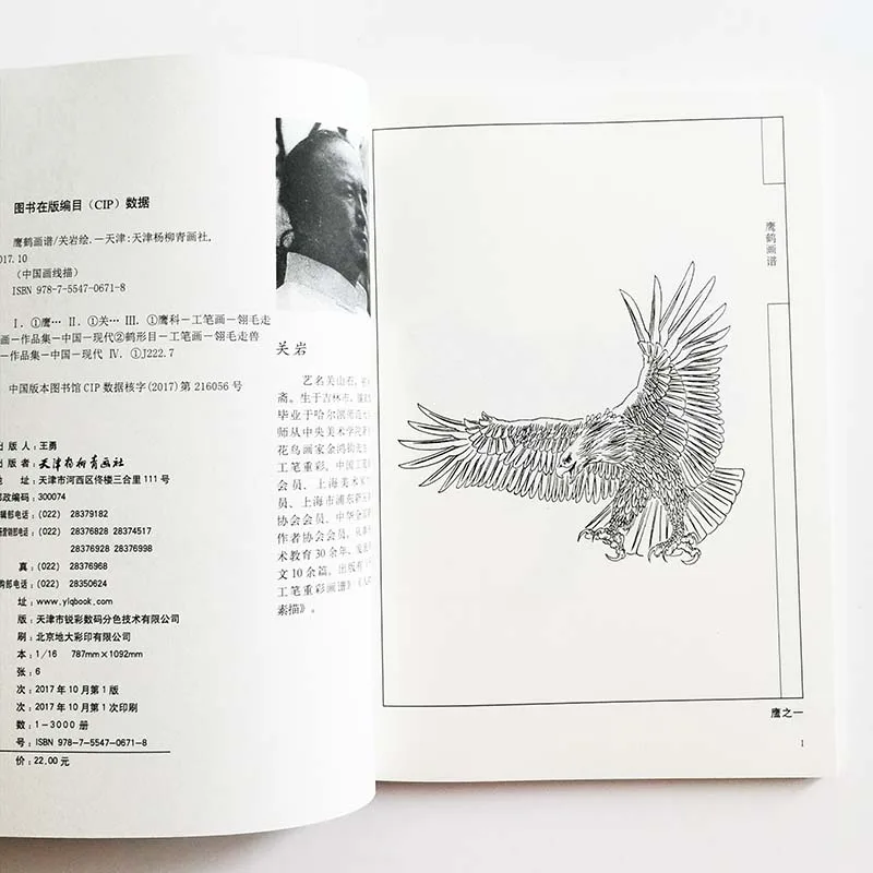 94 страницы картины орла и журавля художественная книга Гуань Янь раскраска для