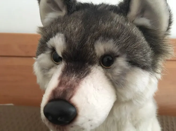 Dropshipping Cuddly Wolf Plush Toy Lifelike Soft Stuffed Animal Adorable Plushy Kids Doll Fluffy Birthday Gifts For Children Boy Stuffed Plush Animals Aliexpress