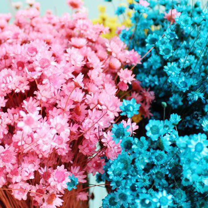 30 шт Decoraitve сушеные Свадебные DIY украшения для дома цветок мини Маргаритка звезда