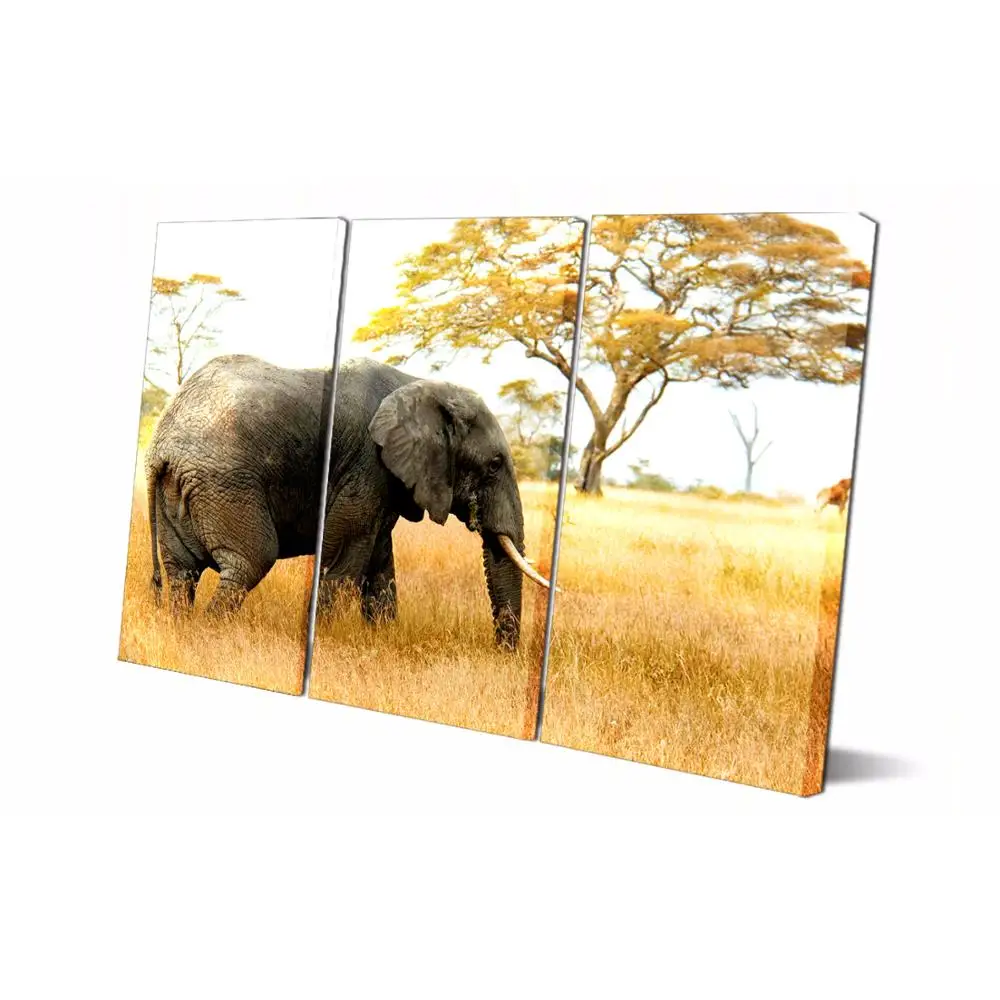 3 Панели печатная живопись слон холст настенное искусство картина украшение для