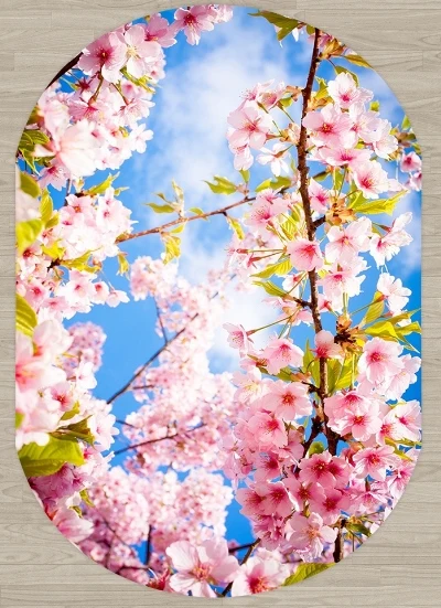 

Else Blue Sky Spring Pink Flowers on Tree Flowers 3d Print Non Slip Microfiber Living Room Modern Oval Washable Area Rug Carpet