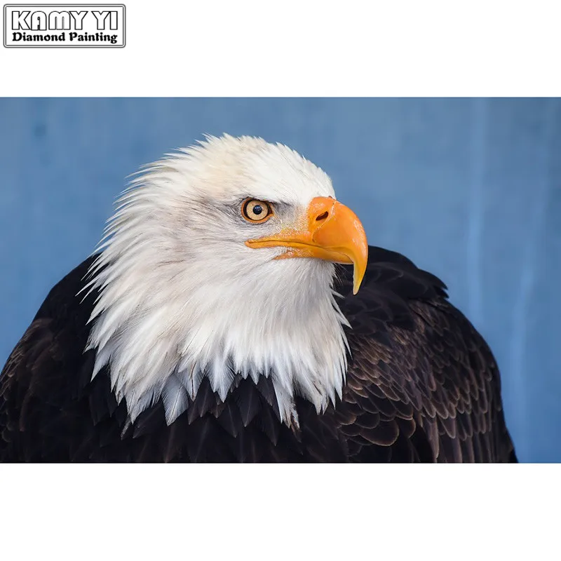 

"5D DIY Diamond embroidery Full Square Diamond mosaic Full eagle Round Diamond painting Cross stitch rhinestones