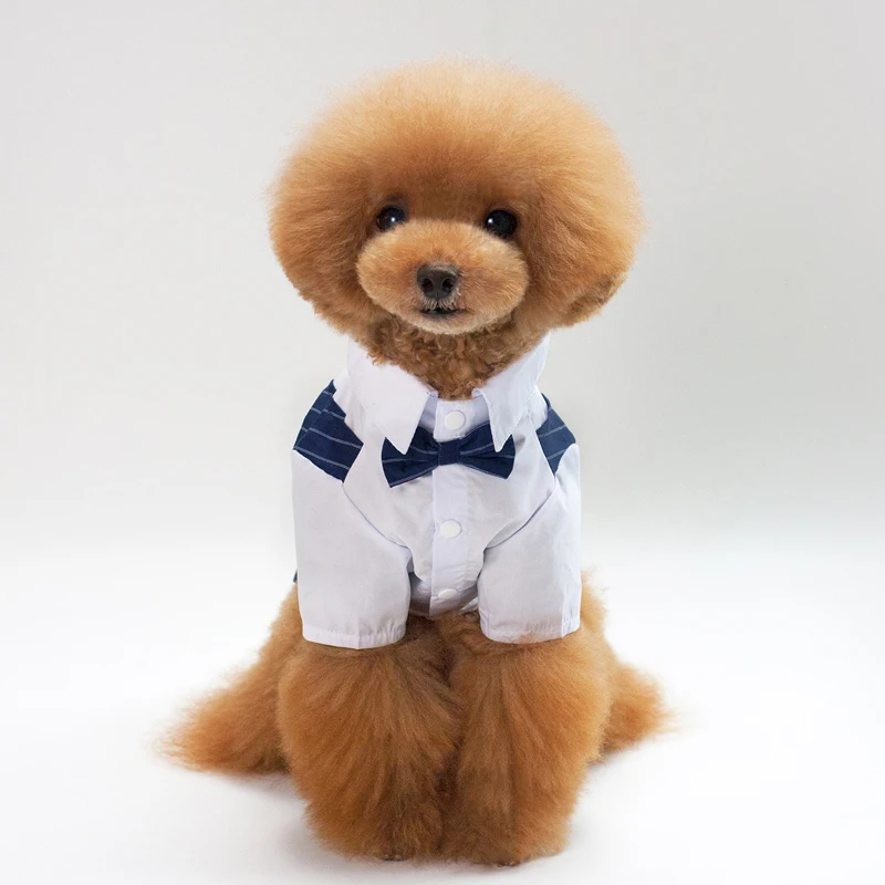MYBRO Демисезонный собака одежда ласточкин хвост дизайн 2 слоя Look Dog Костюм пальто