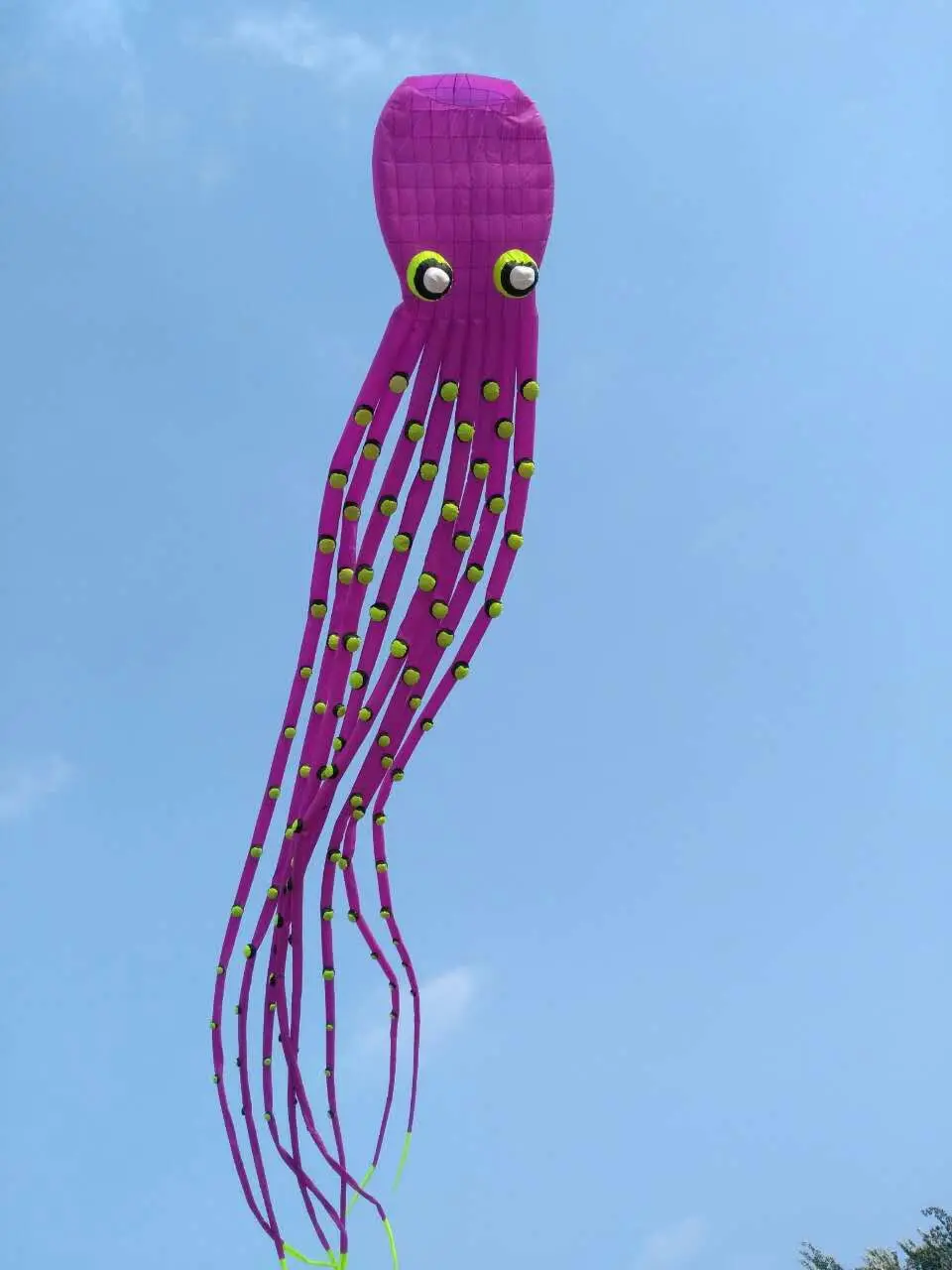 Launch kiting octopus kite soft parapente flying shark rainbow fun factory воздушные змеи для взрослых аксессуары
