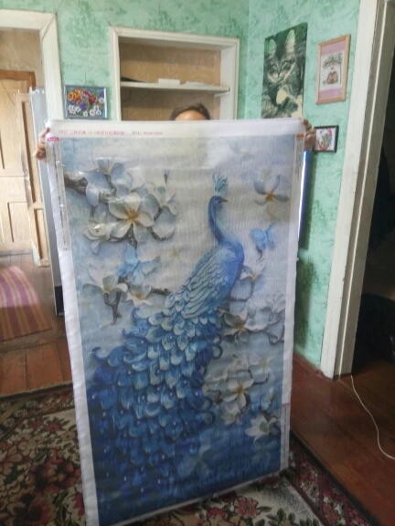 Meian, DIY алмазная живопись, специальные аксессуары Daimond, алмазная вышивка, животное, павлин, полный, горный хрусталь, 5D Алмазная мозаика, Декор