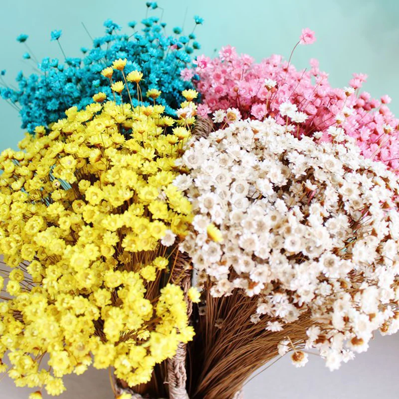 30 шт Decoraitve сушеные Свадебные DIY украшения для дома цветок мини Маргаритка звезда