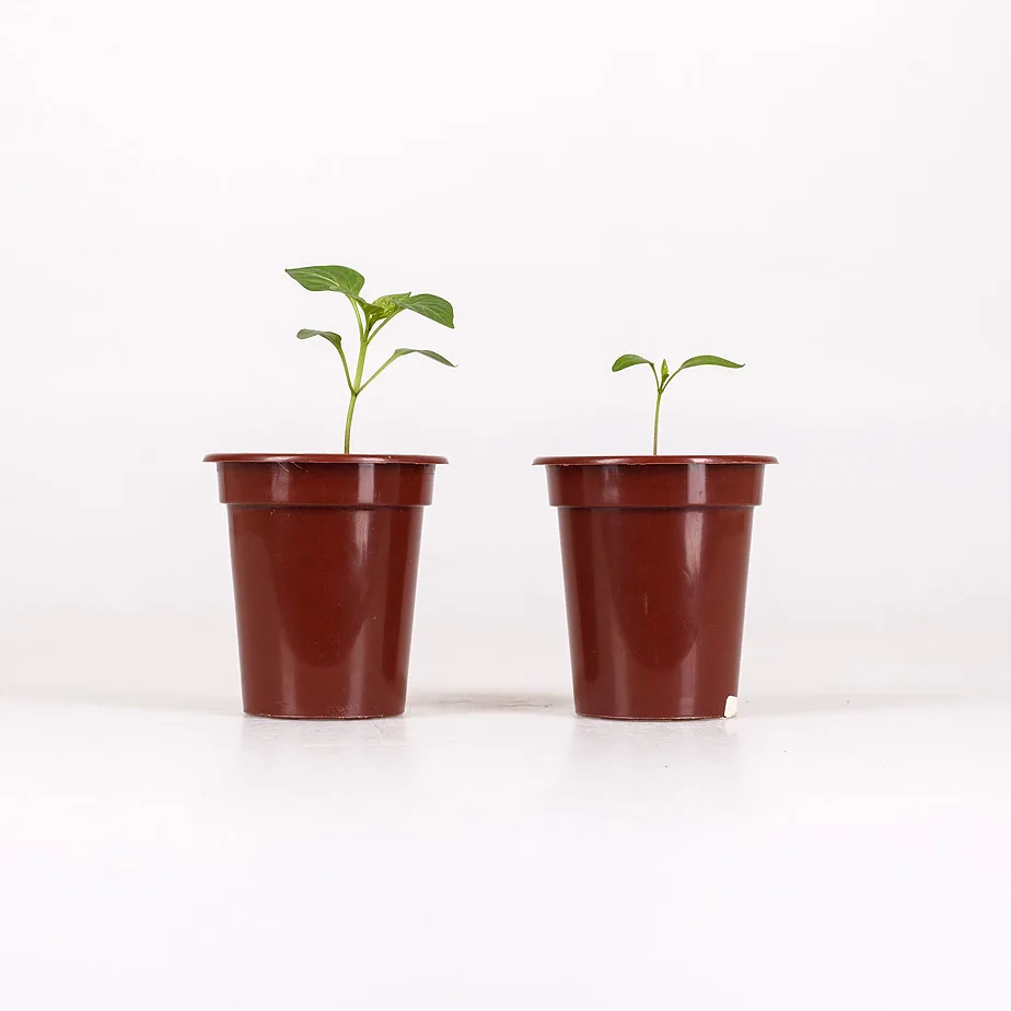 Ультрафиолетовая лампа для растений Фитосветильник | Лампы и освещение