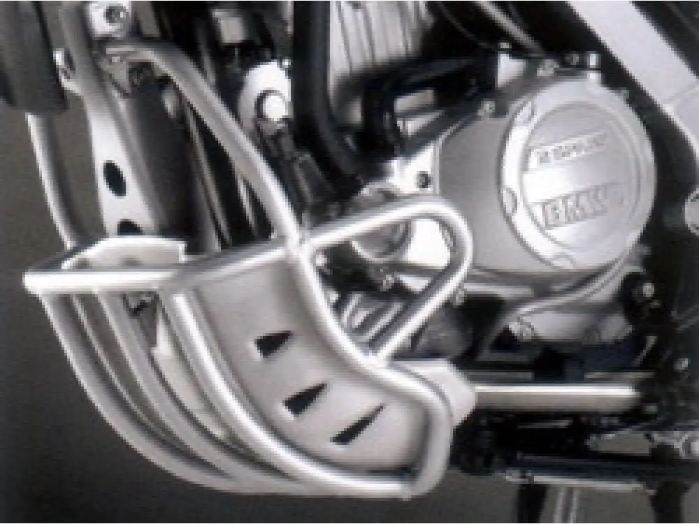 BMW F 650 GS 1999