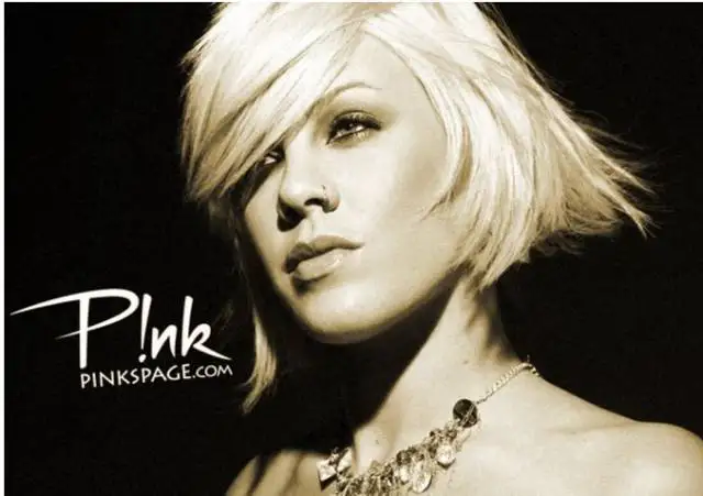 5d алмазная картина на заказ Орлов певица алеция Бет Мура P! nk ajax полная квадратная вышивка с Иисусом - Цвет: Темно-серый