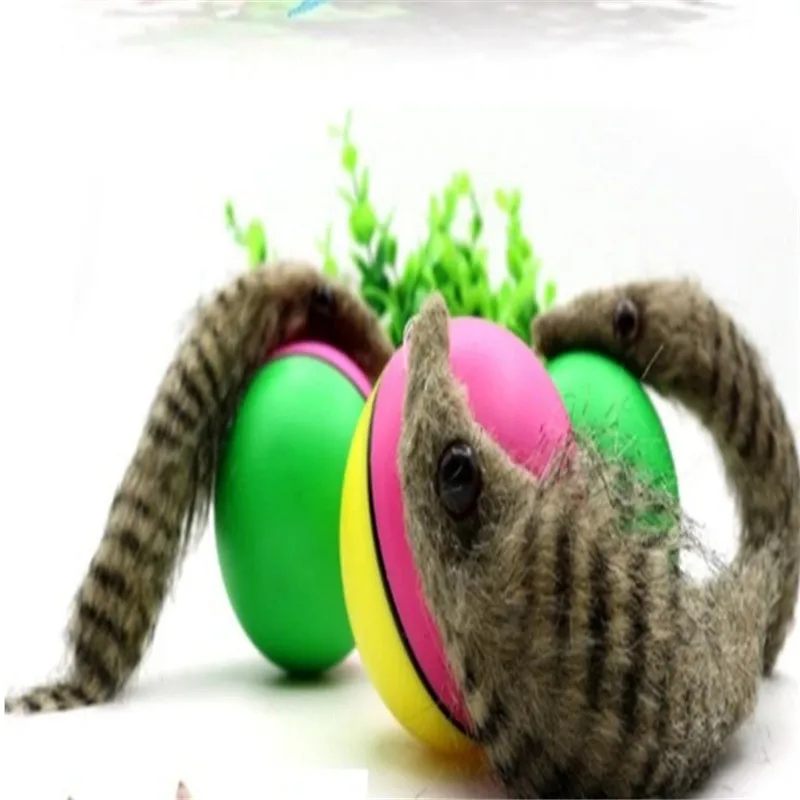 ZHPZPET Горячая продажа 1 шт. продукты для домашних животных Бобр Weasel прокатки мотор