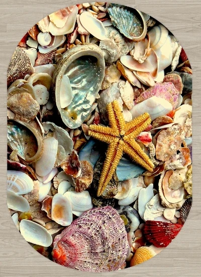 Еще желтый красные синие Морская звезда раковины 3d принтом Нескользящие