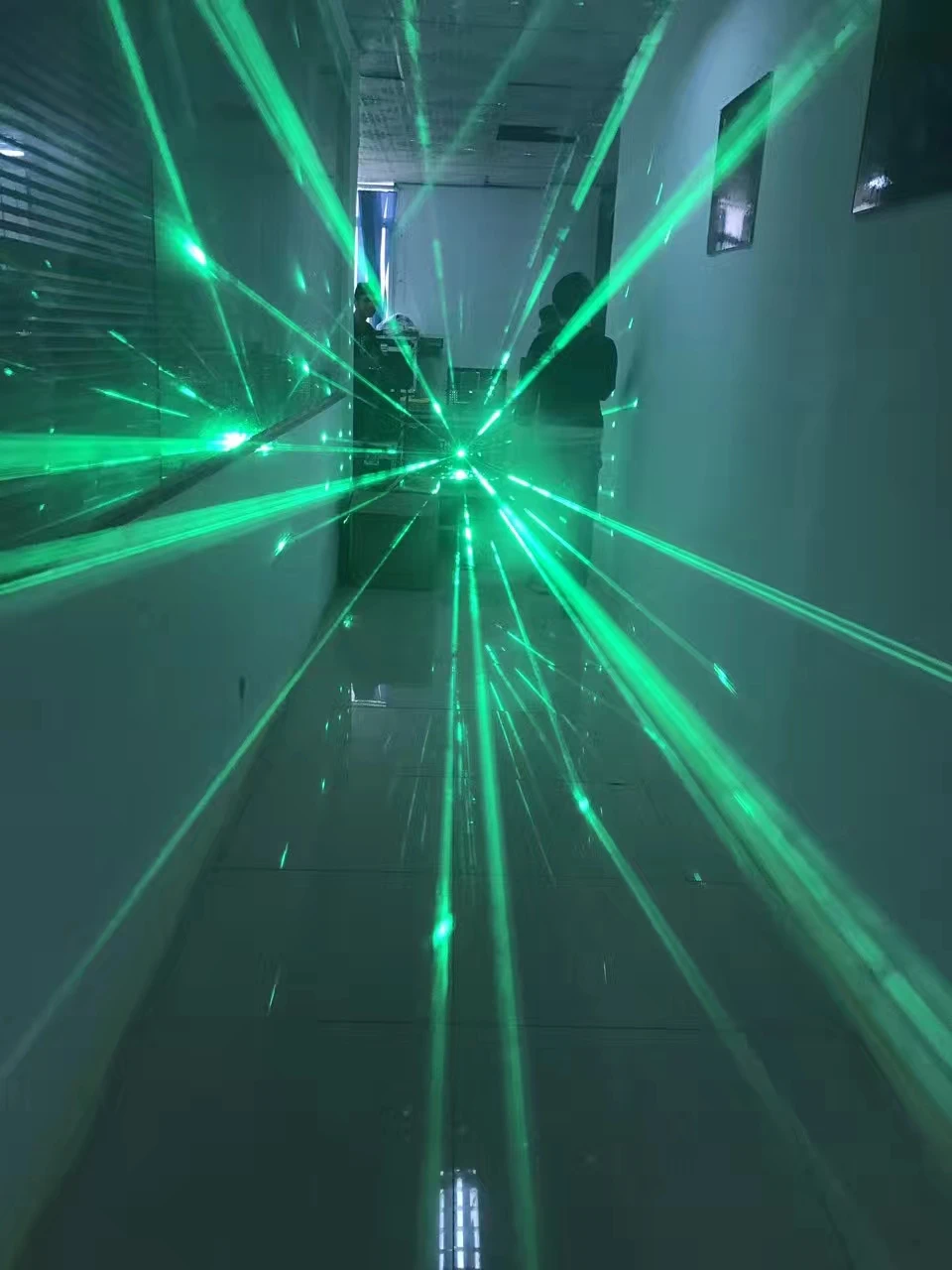 520nm DJ Laser Green 8w ILDA Lazer Light KTV 8000mW Animation pro 8watt Stage Lighting 40kpps Cartoon Analog | Освещение