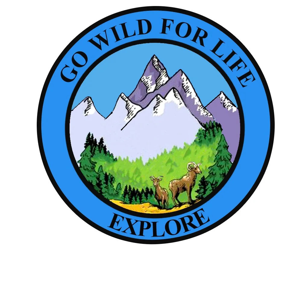 Нашивки с вышивкой утюгом GO WILD FOR LIFE 3 5 дюймов нашивки для одежды отдыха на природе
