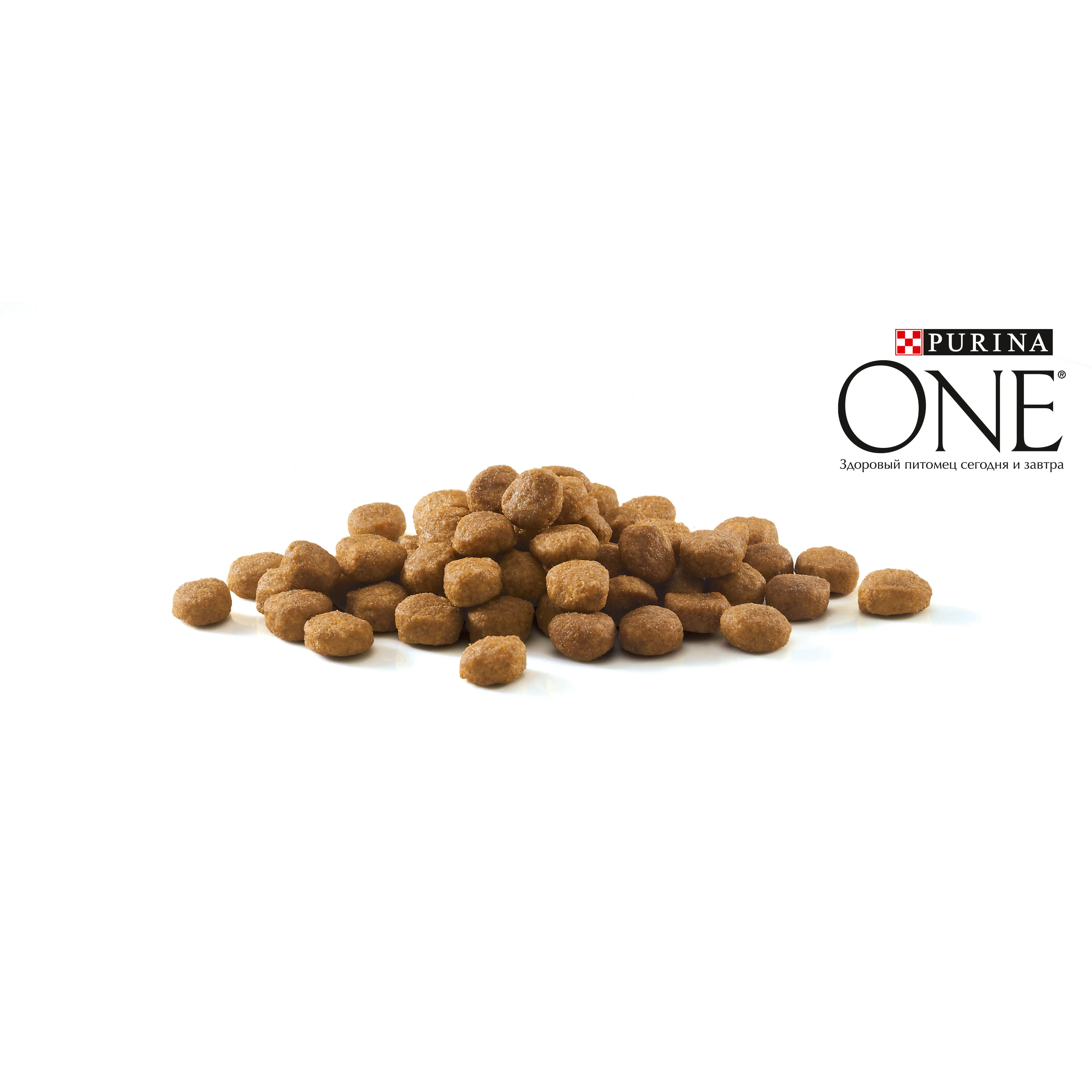 Сухой корм Purina ONE для домашних кошек с индейкой и цельными злаками Пакет 1 5 кг | Дом