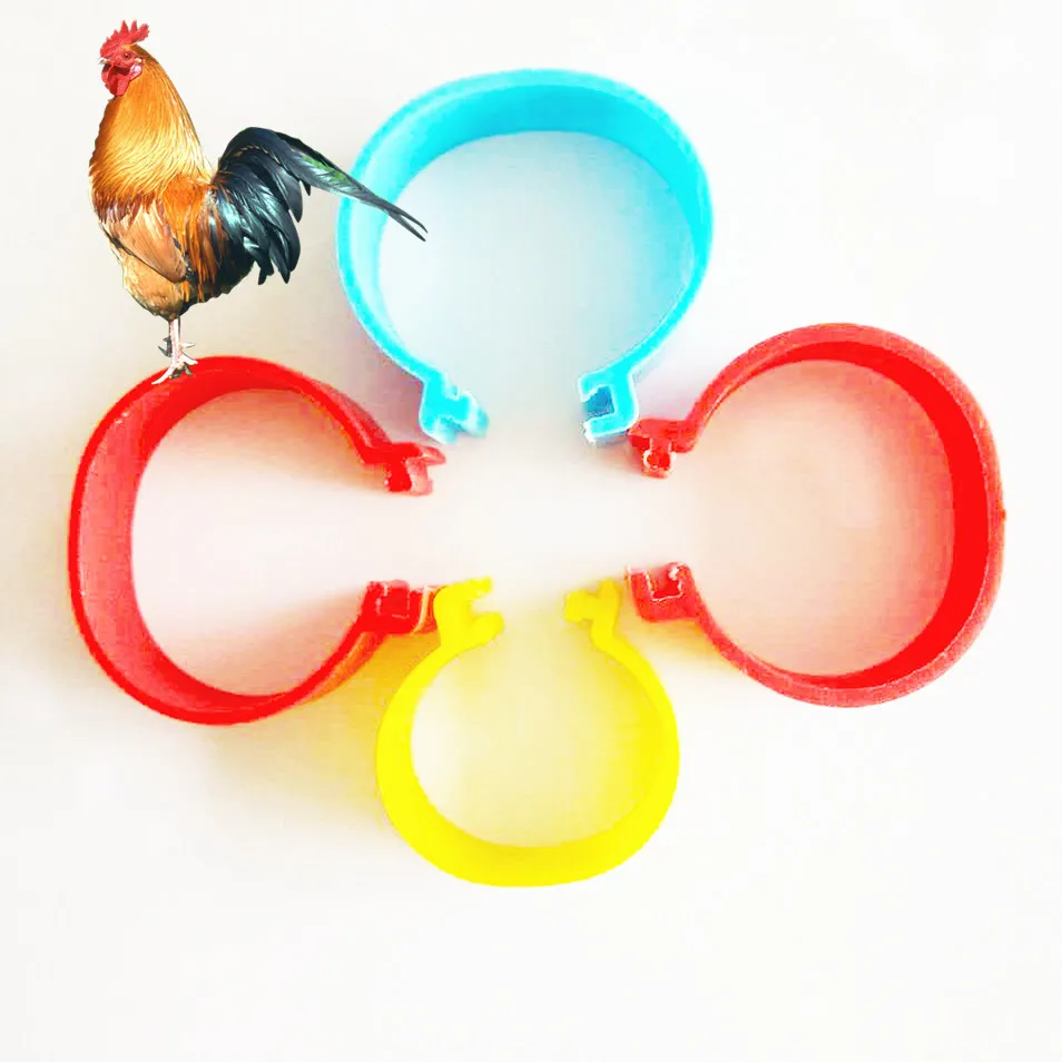 100 шт. птиценожки кольца мм 16 клип чтобы соответствовать стандартным кур и