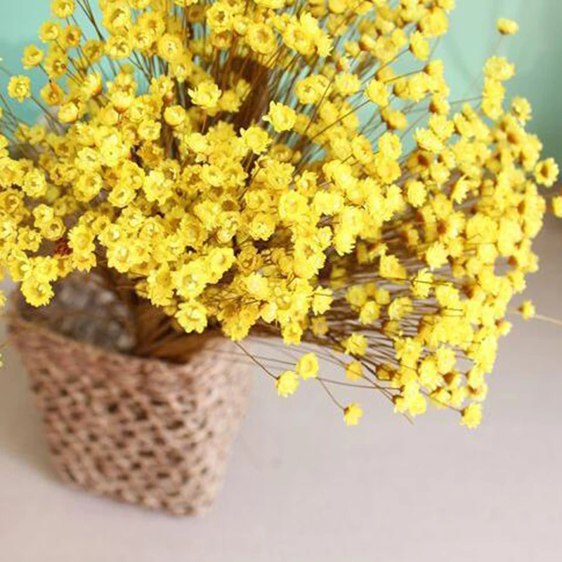 30 шт Decoraitve сушеные Свадебные DIY украшения для дома цветок мини Маргаритка звезда