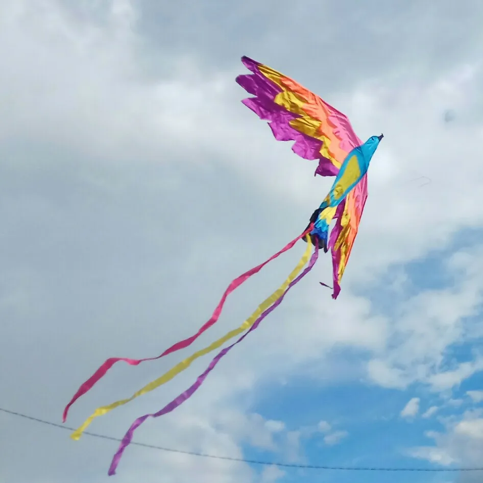 Profesjonalne 330cm Moc Ogromny Chinski Feniks Latawiec Eagle Zwierzat Latawce Z Narzedziami Do Puszczania Latawca Zabawki Latajace Latawce Animal Kites Kite Kiteseagle Kite Aliexpress