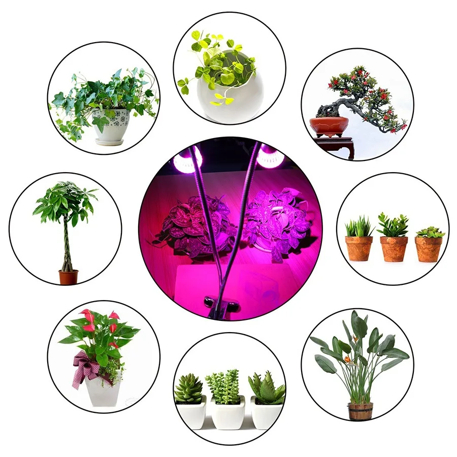 5 Вт 10 Вт Светодиодный светильник для выращивания растений, светодиодный светильник для выращивания растений с гибкой гусиной шеей на 360 гра... от AliExpress WW