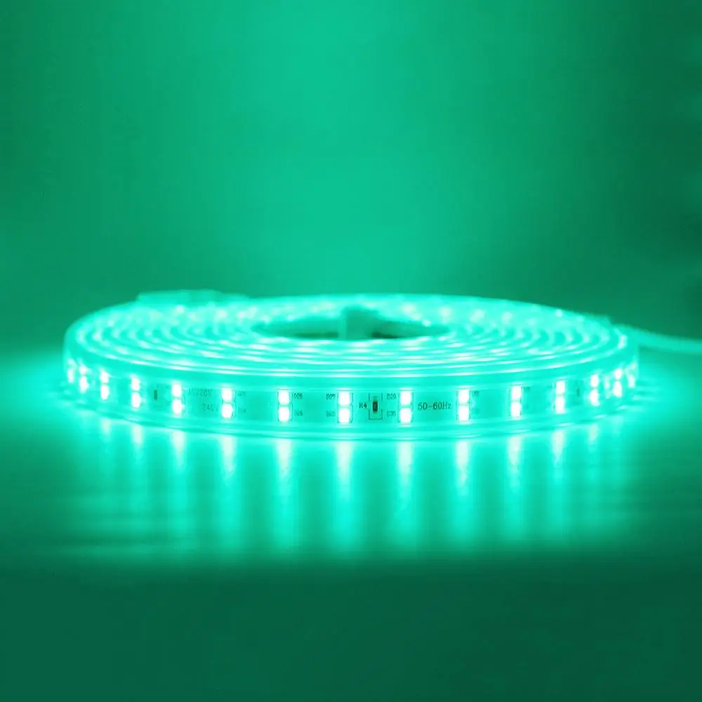 Green Светодиодный ленточный светильник 120 светодиодный s/m двухрядный 220 в 240 В Светодиодная лента 5050 теплый белый/фиолетовый светодиодный ленточный светильник 1 м 5 м 10 м 15 м 20 м 50 м 100 м - Испускаемый цвет: Green