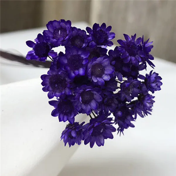 purple 30 шт. Decoraitve сушеный цветок мини ромашка звезда букет натуральные растения маленький цветочный для свадьбы DIY украшение дома - Цвет: purple