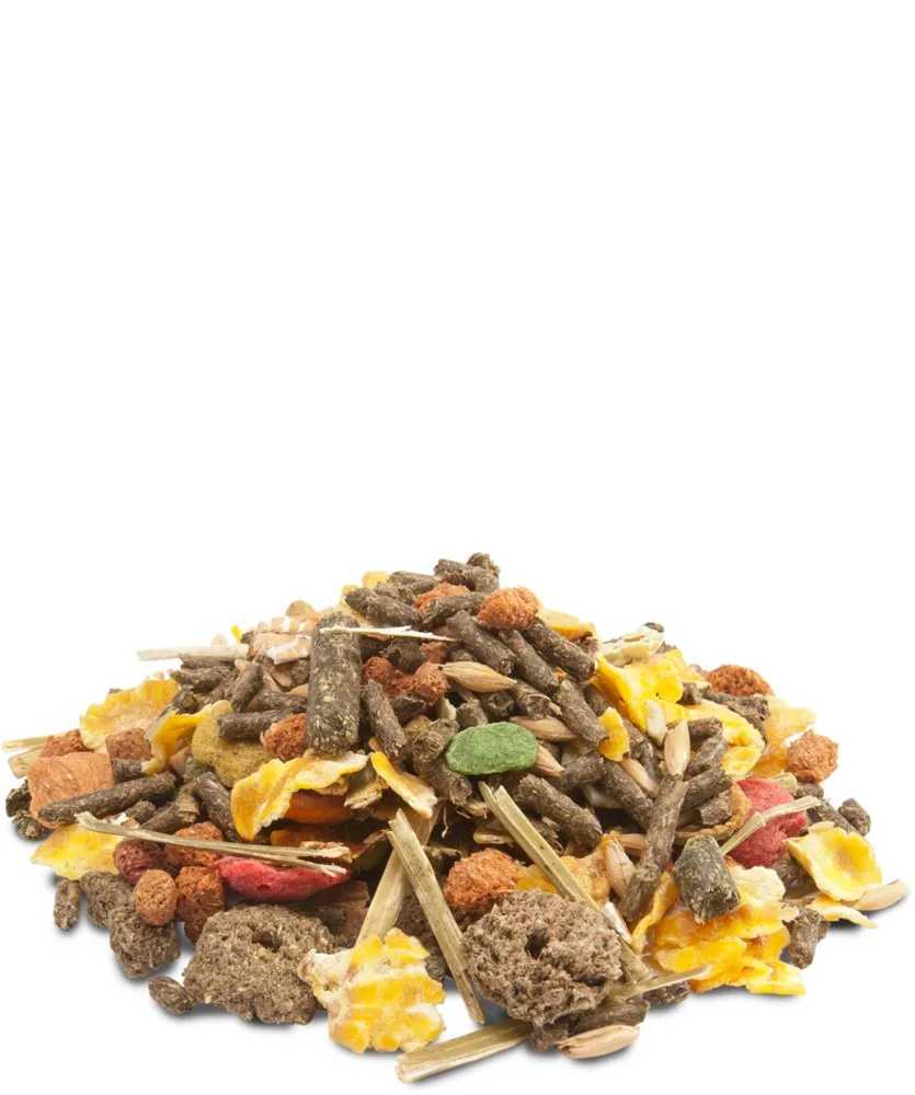 VERSELE LAGA корм для морских свинок Crispy Muesli Guinea Pigs с витамином 20 кг|Принадлежности