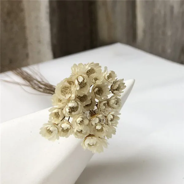 white 30 шт. Decoraitve сушеный цветок мини ромашка звезда букет натуральные растения маленький цветочный для свадьбы DIY украшение дома - Цвет: white