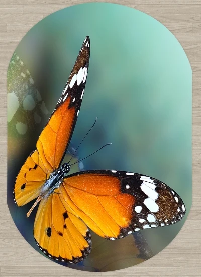 Еще зеленый пол на оранжевом Бабочка Животные 3d печати Нескользящие из