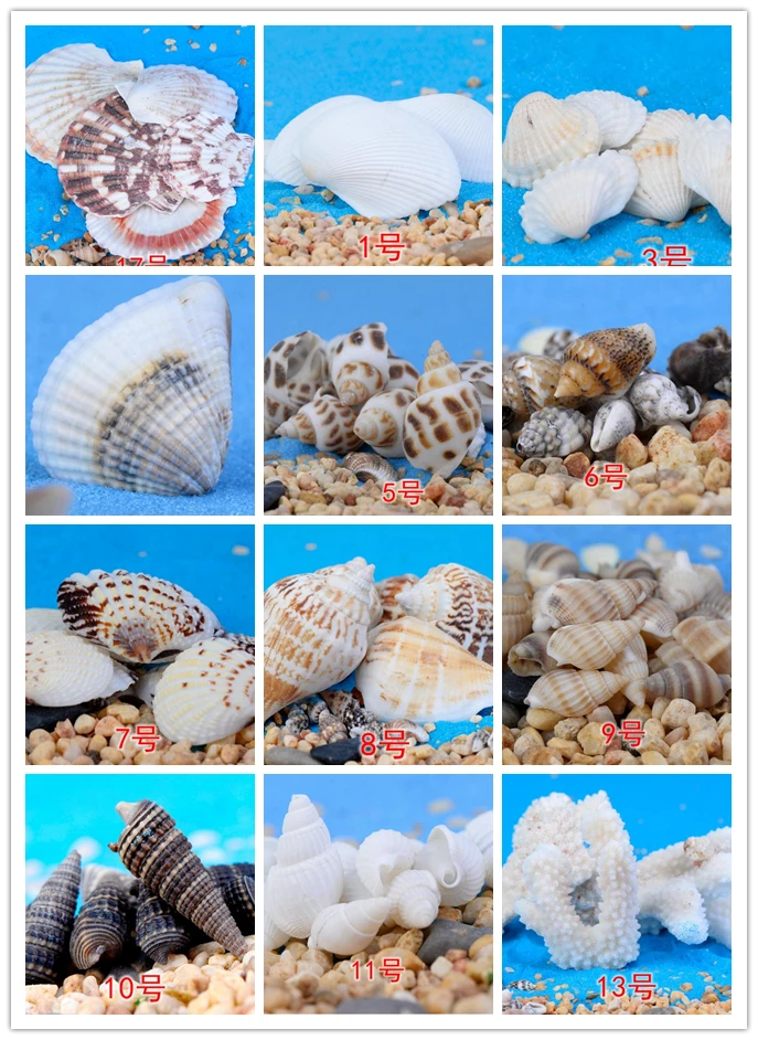 Natural Mini Conch shell Miniature Garden Ornaments Micro landscape toys decoration Gifts DIY Fairy tale world CJ125 | Дом и сад