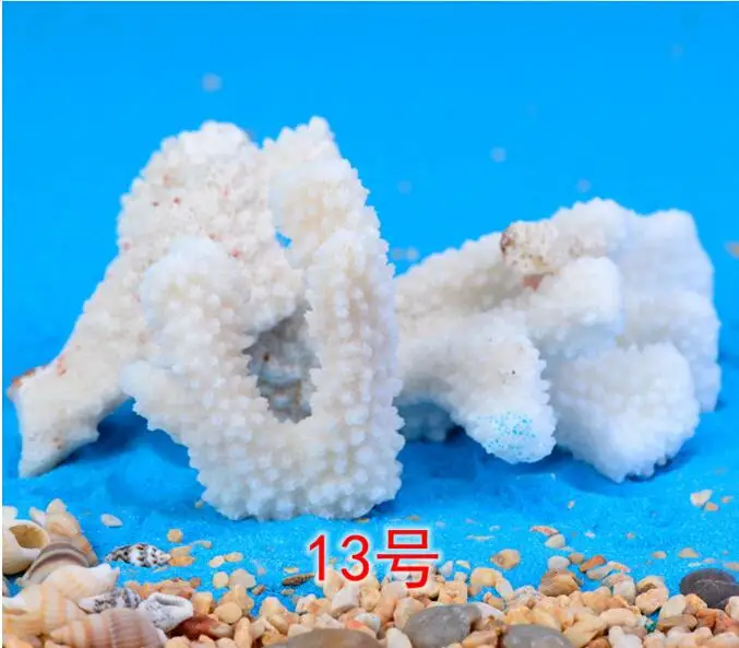 Natural Mini Conch shell Miniature Garden Ornaments Micro landscape toys decoration Gifts DIY Fairy tale world CJ125 | Дом и сад