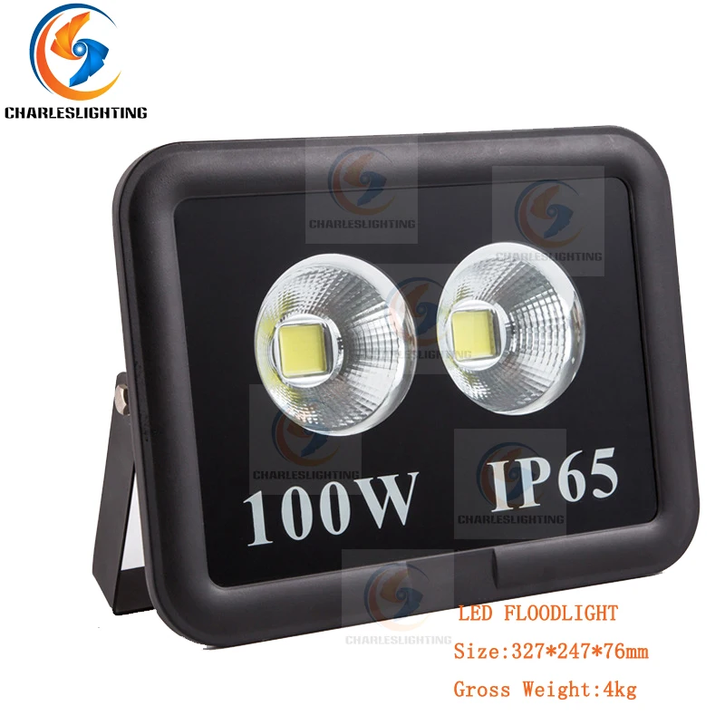 

CHARLESLIGHTING 3 Years Warranty Ultra Bright COB LED Flood Lights 100W 6pcs Per Carton Proof Grade IP65 Lamp For Tennis Court