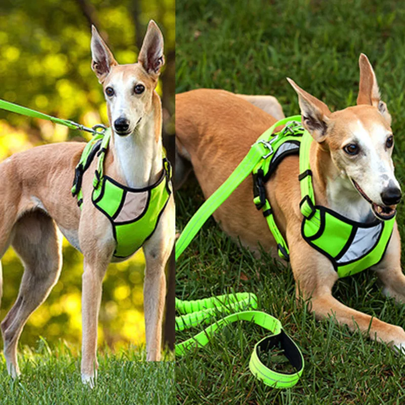 Нейлоновая большая шлейка для домашних животных регулируемый поводок