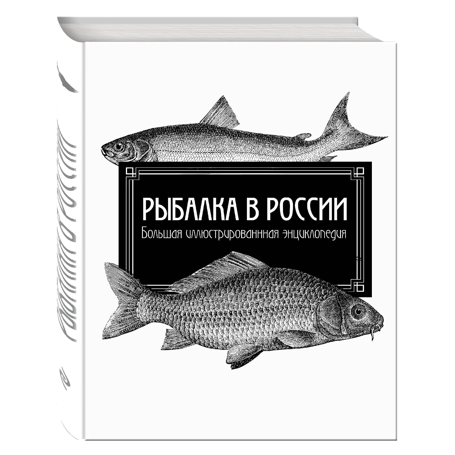 Рыбалка в России. Большая иллюстрированная энциклопедия (978 5 699 87591 7 256 стр.