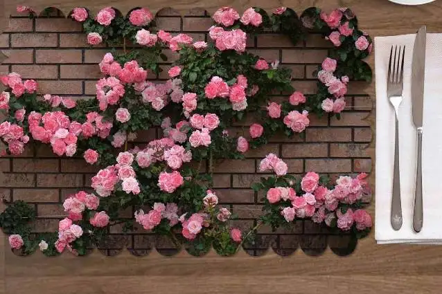 Еще 4 колпачков с розами и цветочным рисунком для девочек Розовый красный цвет