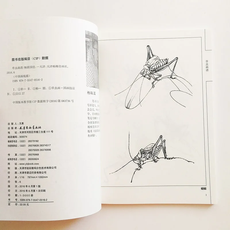 Книга для раскрашивания китайских насекомых 94 страницы| |