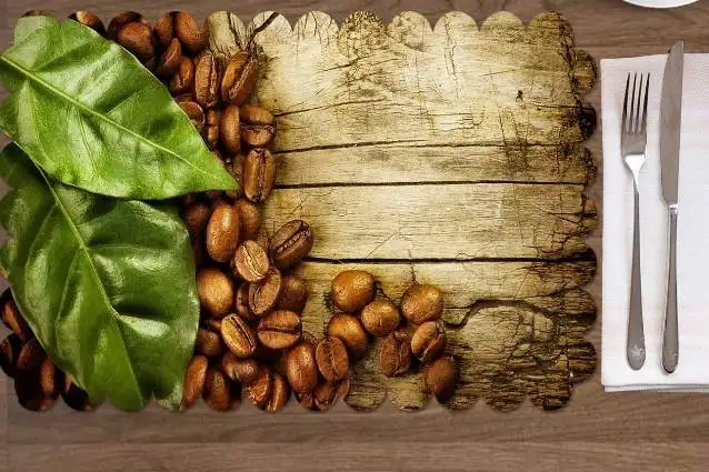 Еще 4 шт. коричневый Кофе Writen Африканский слон моющийся принт ткань место