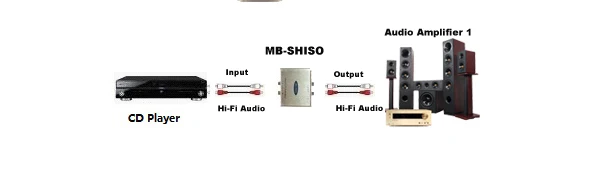 Стерео RCA аудио Hum Eliminator Stero Line аудио Buzz Eliminator 2-CH Hi-Fi аудио шумоизолятор