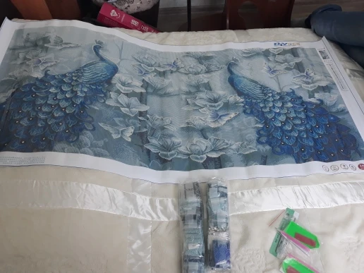 Meian особой формы "Павлин любителей" DIY, алмазная живопись, алмазная вышивка, полный, Алмазная мозаика, картина из бисера, дом Dec Diamant
